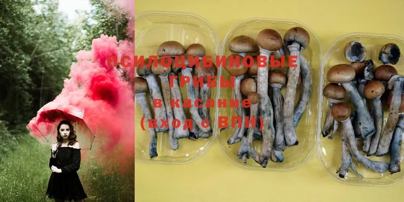 Псилоцибиновые грибы Magic Shrooms  это состав  Мурино 